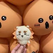 kokoの画像