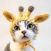 ねこさんのフリマの画像