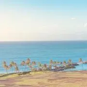 もっさんの画像