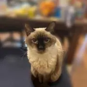 まーさん