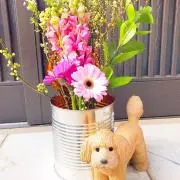 なしなし☆プロフ必読の画像