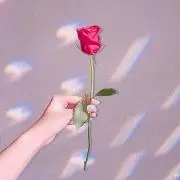 k.(即購入OK ¨̮⃝ ♪)の画像