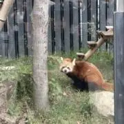 じょにーでっぷの画像