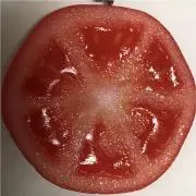 G M