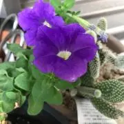 romihiroの画像