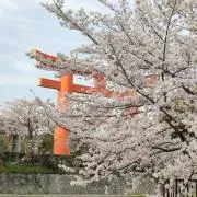 niko88の画像