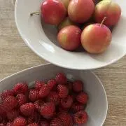 beetsの画像