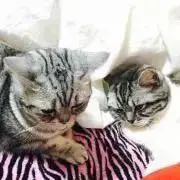 ちゃむ⚠️