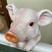タカタの画像