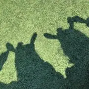 みな