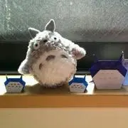 はな(引越バタバタ中)の画像