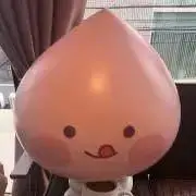 ichigochocoの画像