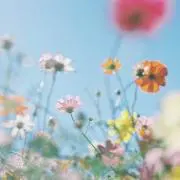 みんの画像