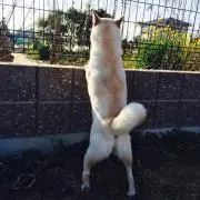 もみじ☺︎の画像