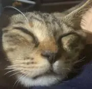 みゆき