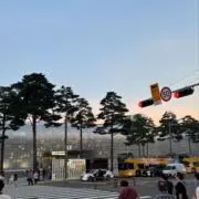yyyの画像
