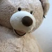 ゆーちゃんの画像