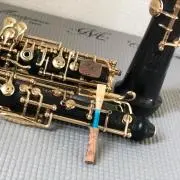 シュプリンガー