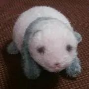 ぱんだの画像