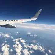 ニャンの画像