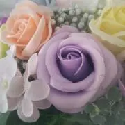ヒロンの画像