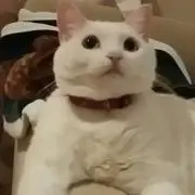 ksws