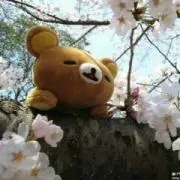 なな(プロフィールご覧下さい)の画像