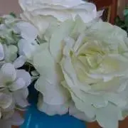 Rの画像