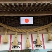 ノンノン