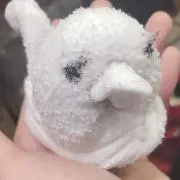 モルの画像