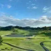 Izumiの画像