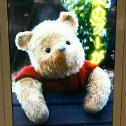 はる★の画像