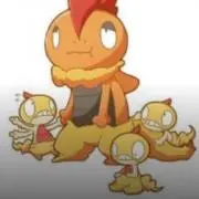 大阪、京都、奈良 引き取り希望バジリスク絆 - メルカリ