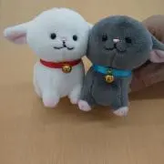 サンサンオレンジ