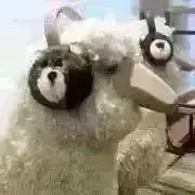 yuuの画像