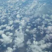 moppの画像