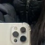 すみれの画像