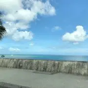 miiの画像
