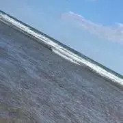 ほの画像