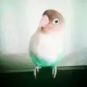 買い物トコトコU^ェ^U