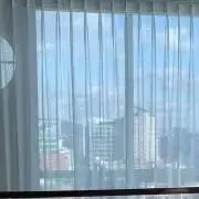 トマトの画像