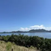 なみの画像