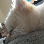 m 断捨離します