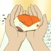 トウモロコシの画像