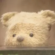 emilyの画像
