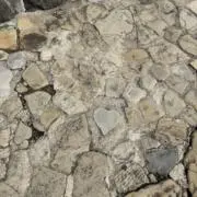甃の画像