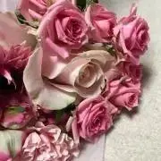 aoi＊の画像