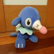 あしまりの画像