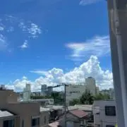 くまちゃんの画像