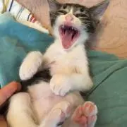 mmの画像